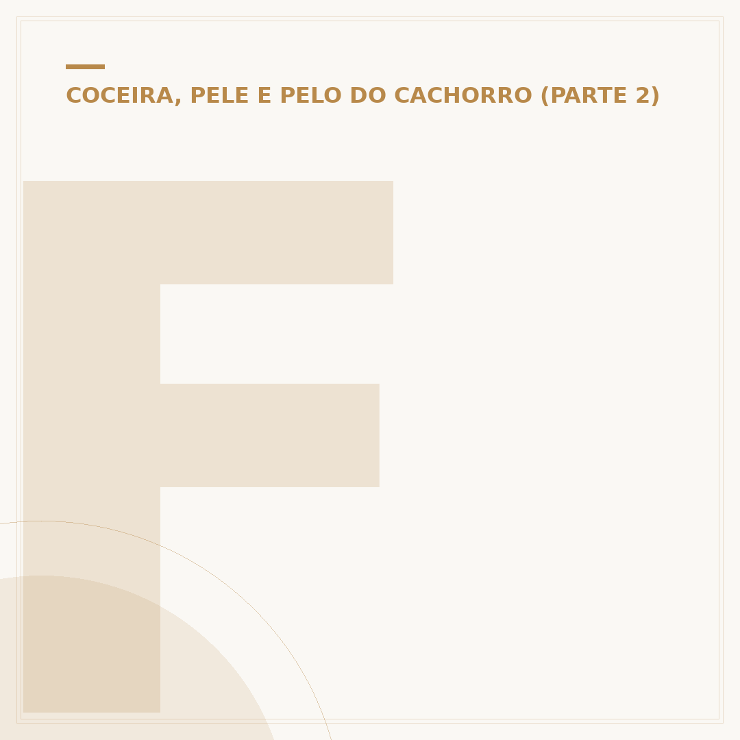 Ferida no nariz do cachorro: causas, tratamentos e prevenção