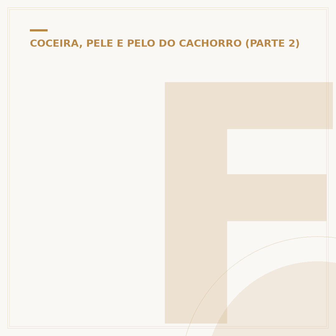 Ferida no olho do cachorro: causas, sinais e cuidados