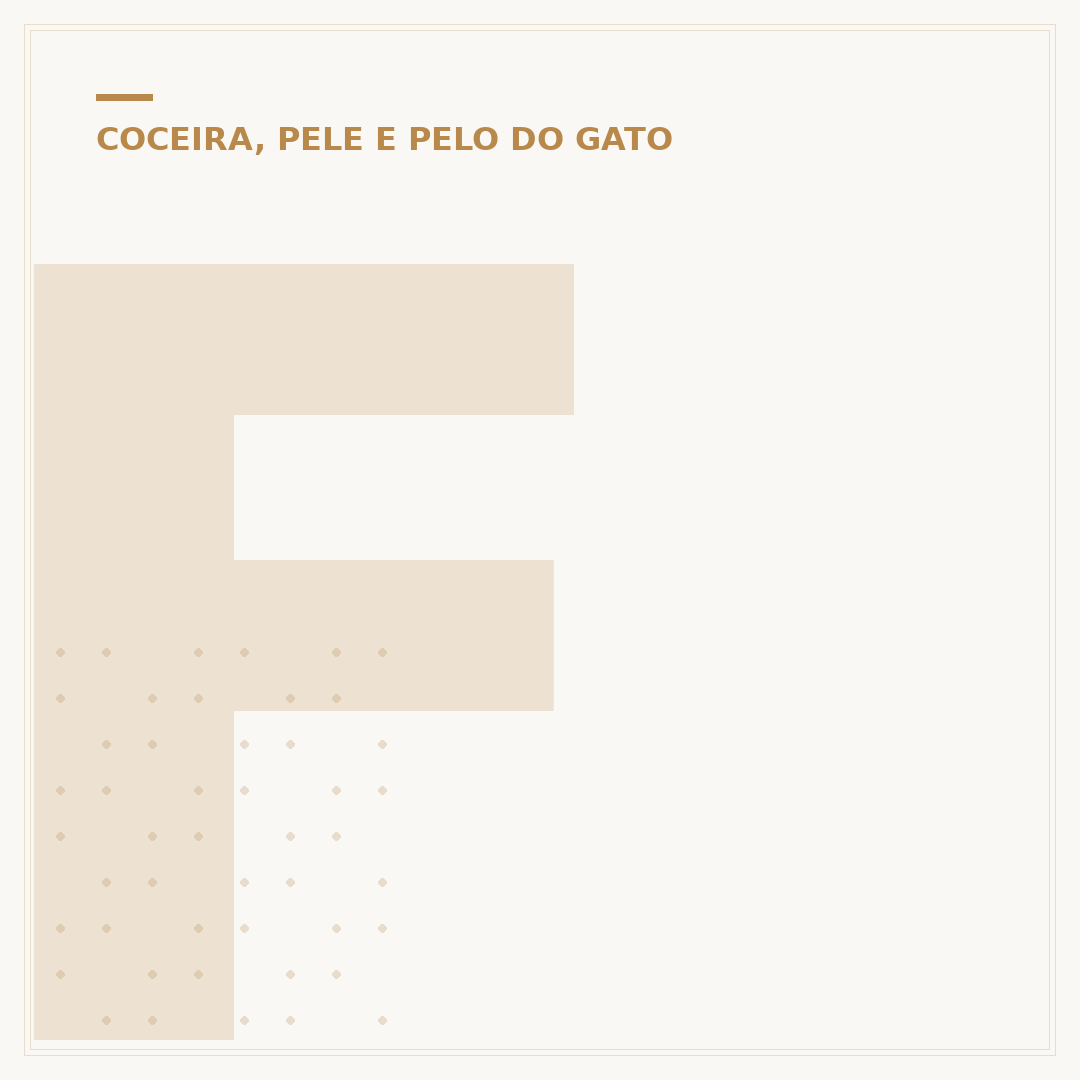 Ferida na orelha do gato