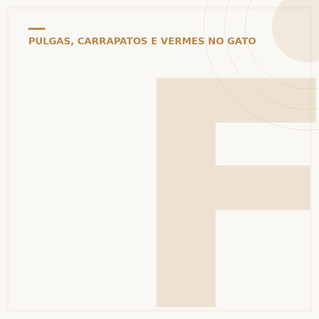 Ferida de pulga em gato: causas, sintomas e tratamento