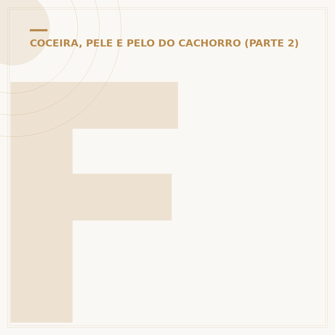 Ferida com pus em cachorro