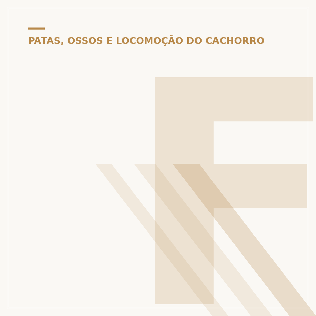 Feridinha na pata do cachorro