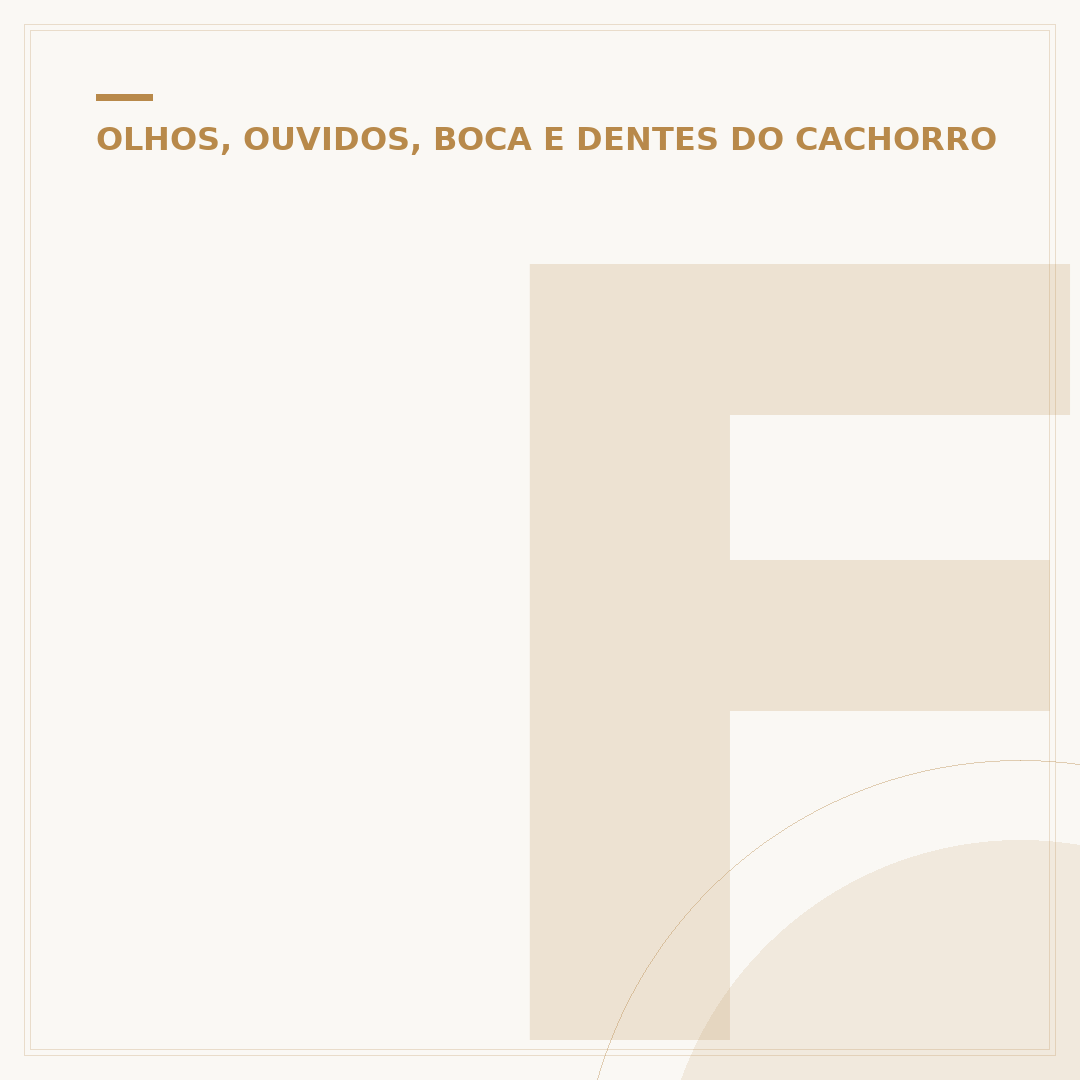 Feridinha na orelha do cachorro
