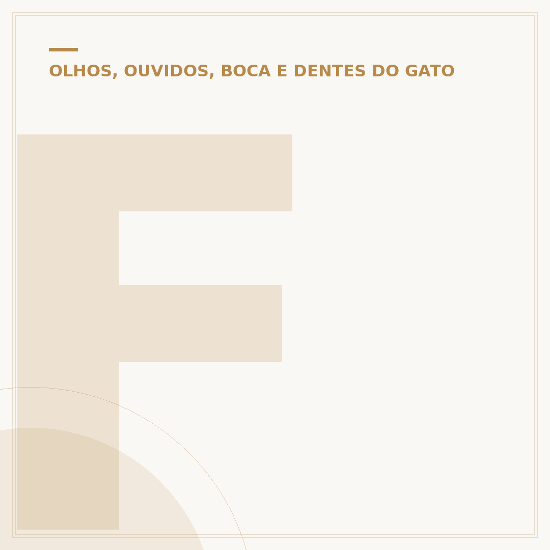 Feridinhas na orelha do gato: causas e cuidados