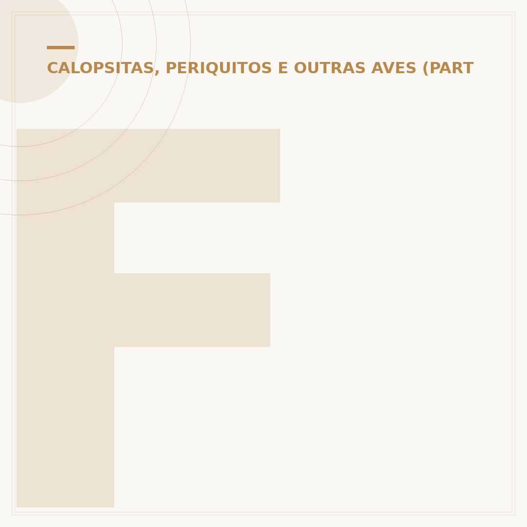 Filhote de calopsita com 1 dia