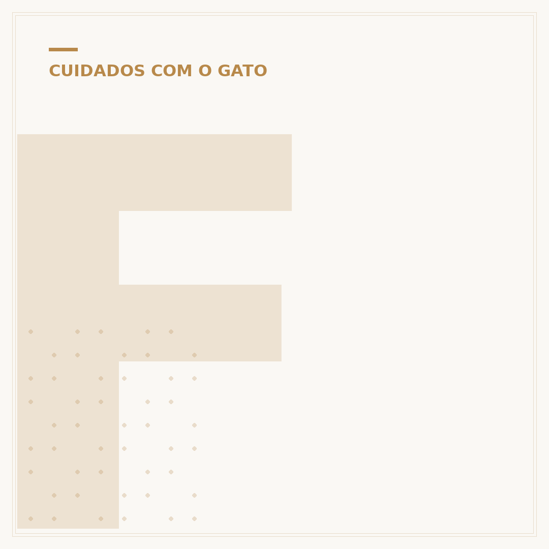 Filhote gato branco: cuidados, saúde e particularidades
