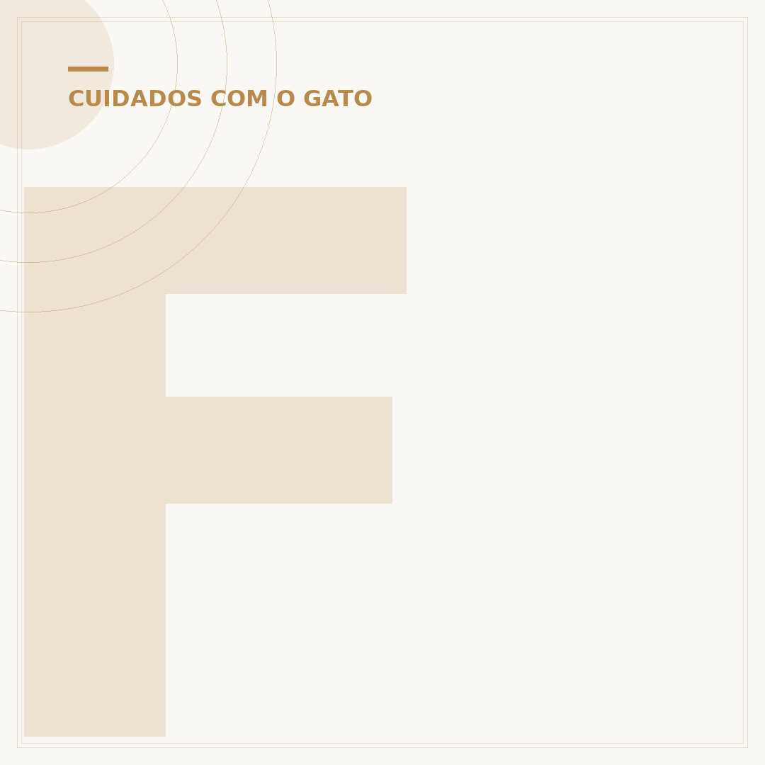 Filhote de gato com coelho: entendimento e convivência