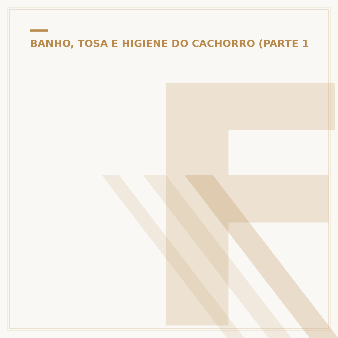 Filhote pode tomar banho? Entenda o momento certo