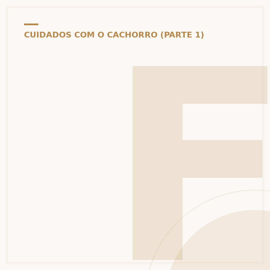 Filhotes de cachorro de pequeno porte