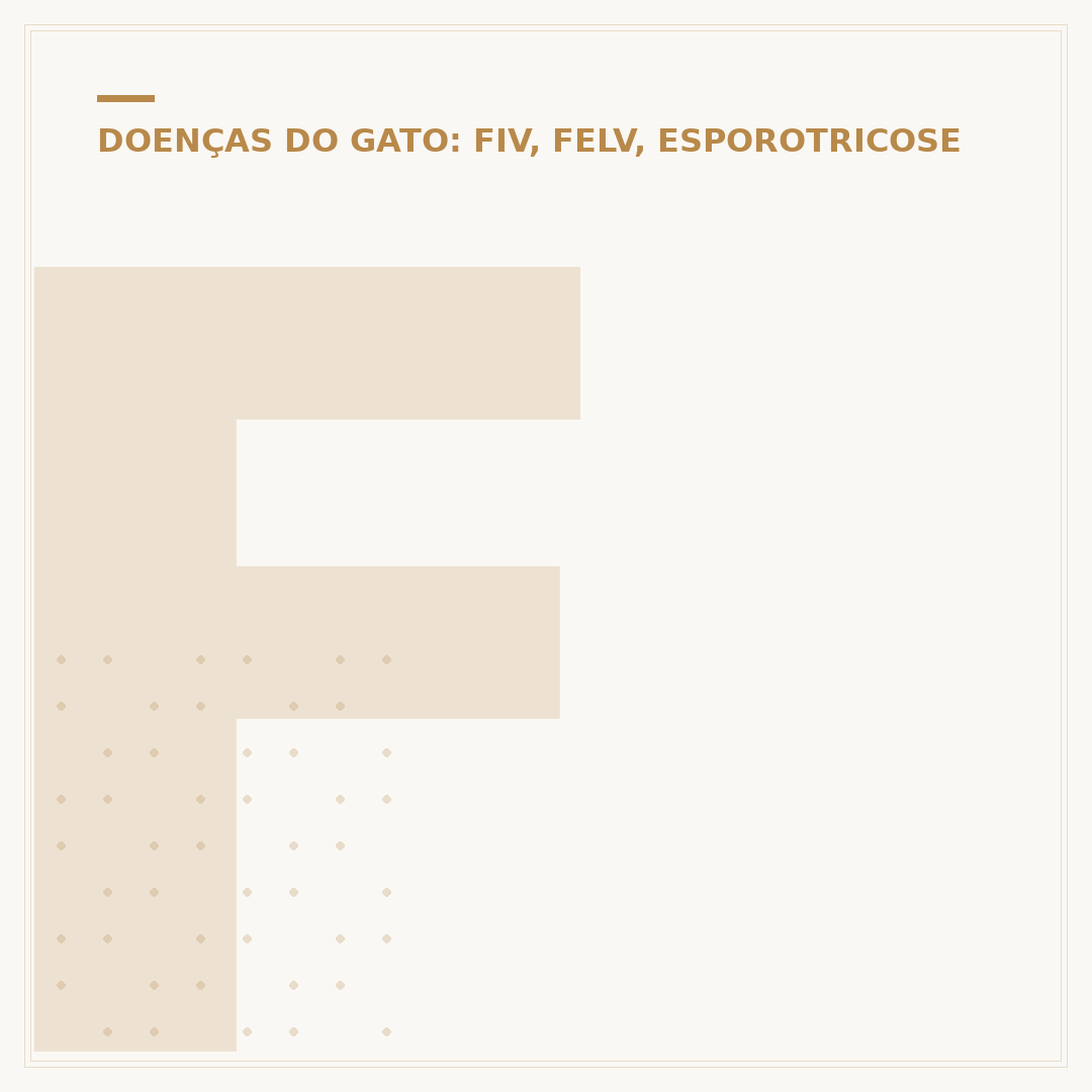 FIV e FeLV positivo em gatos: o que você precisa saber