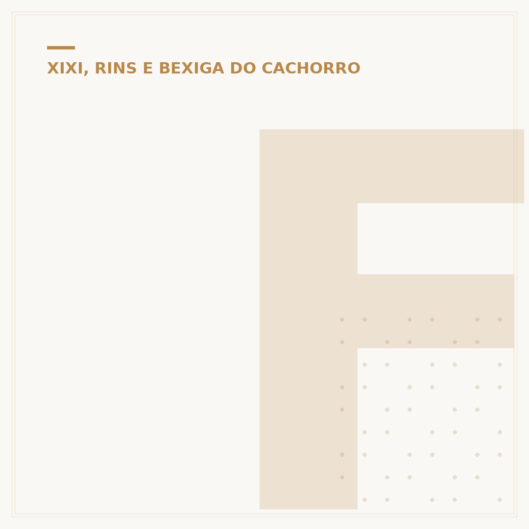 Formiga no xixi do cachorro: o que fazer?