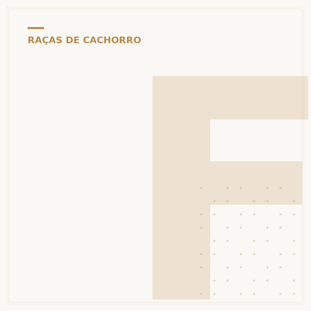 Fox Paulistinha: raça de cachorro