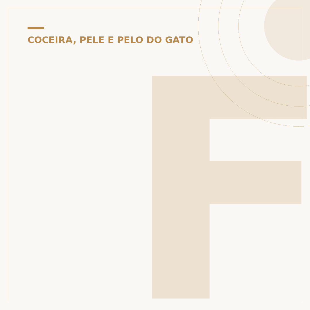 Fungo na orelha do gato: o que é e como tratar