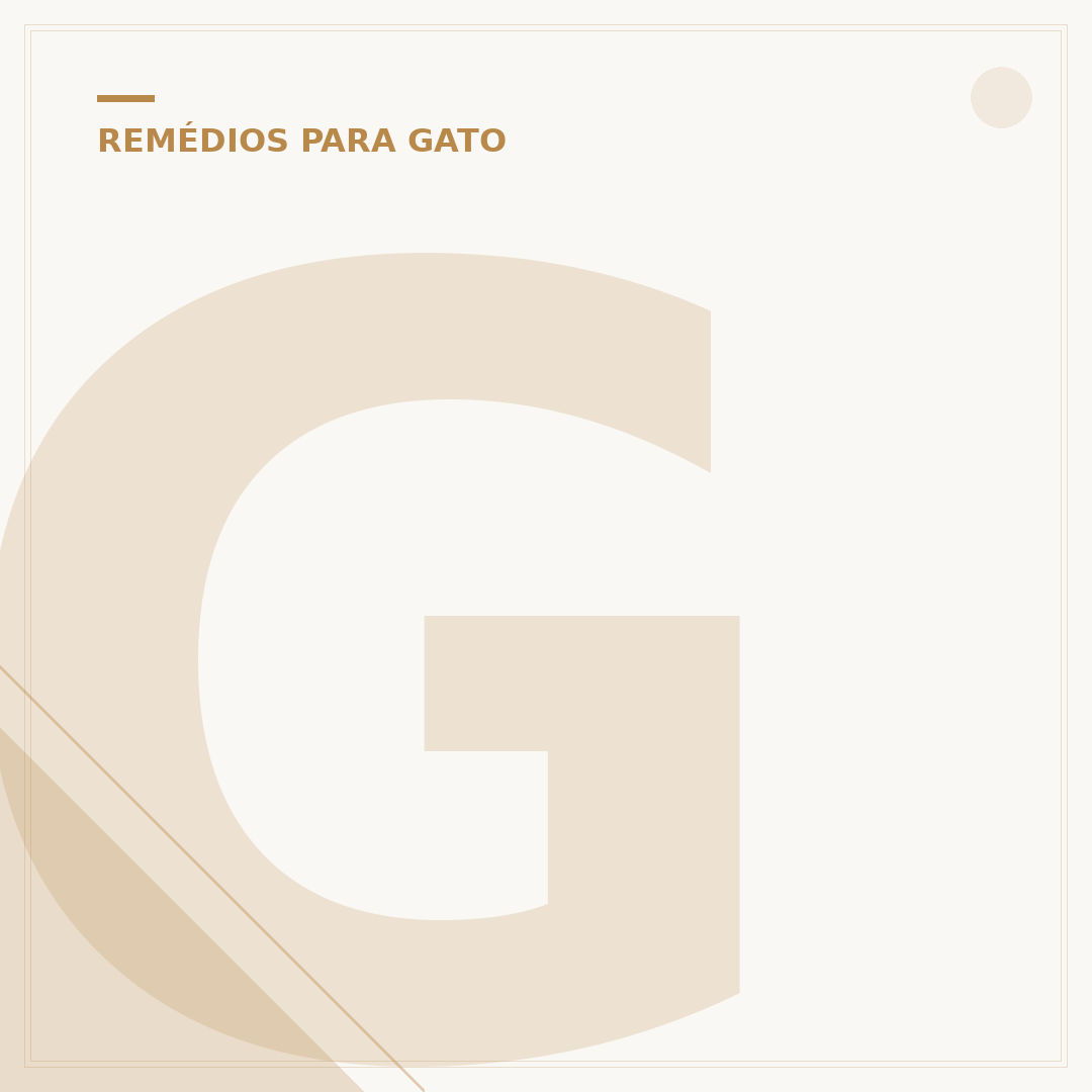 Gabapentina para gatos: para que serve e como usar