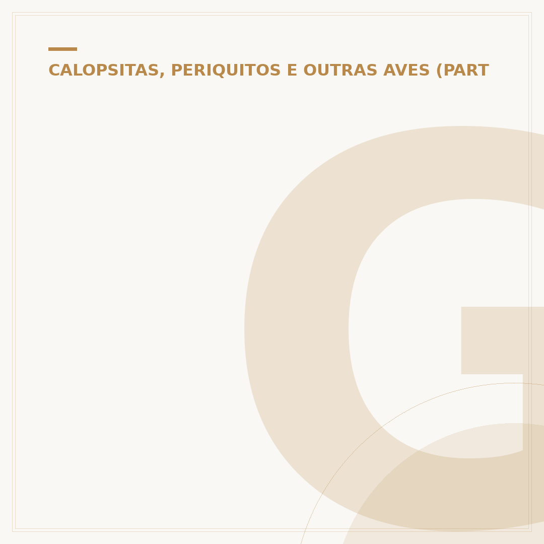 Gaiola para papagaio