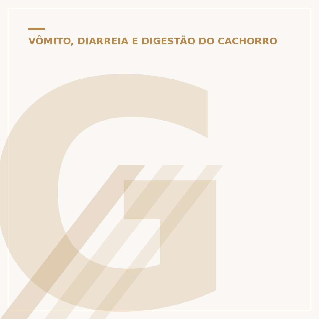 Gastrite em cachorro: o que é e como lidar