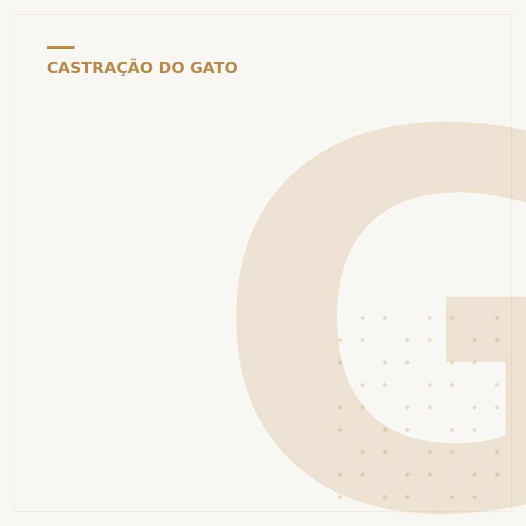 Gata castrada entra no cio: causas e como agir