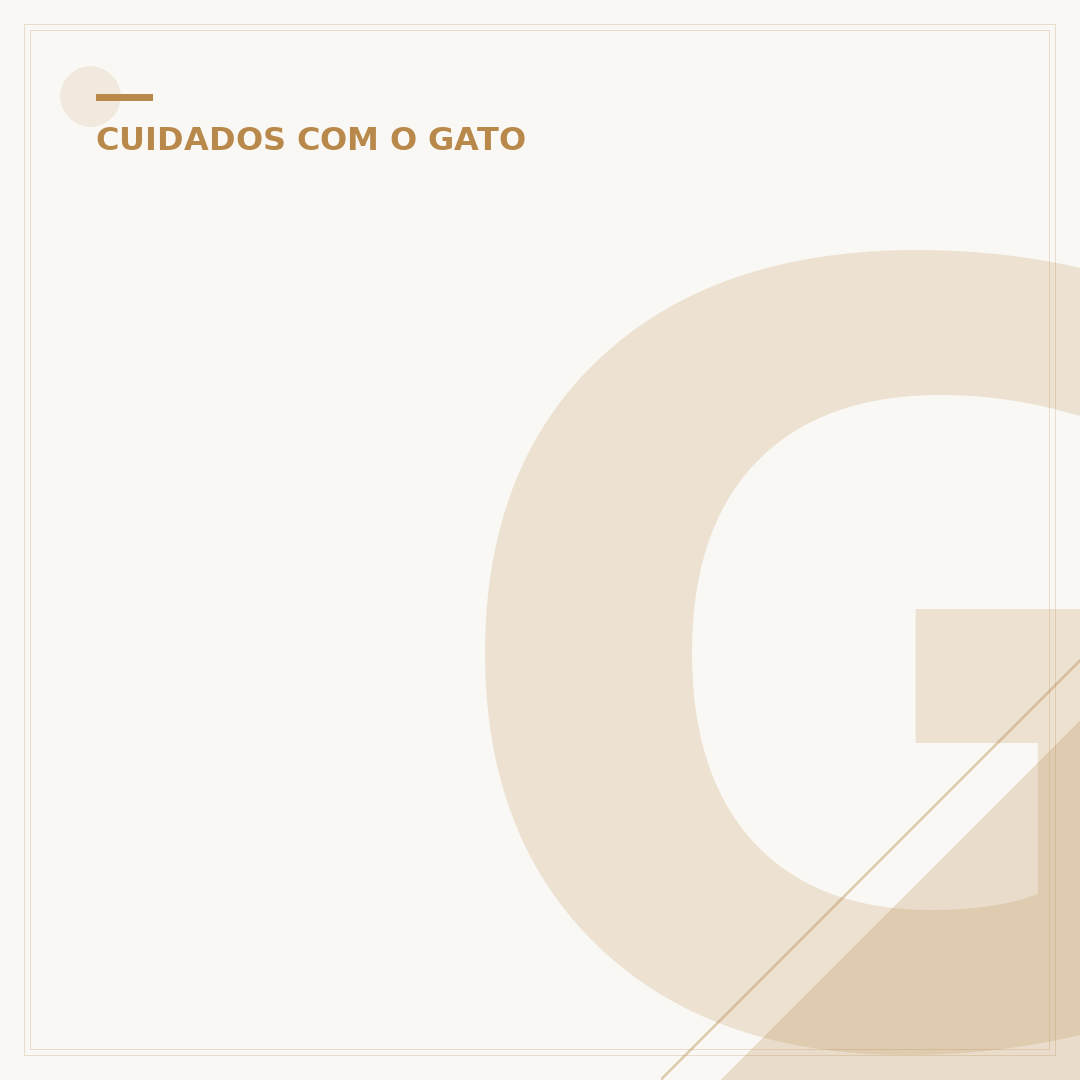 Gato com 1 mês de vida