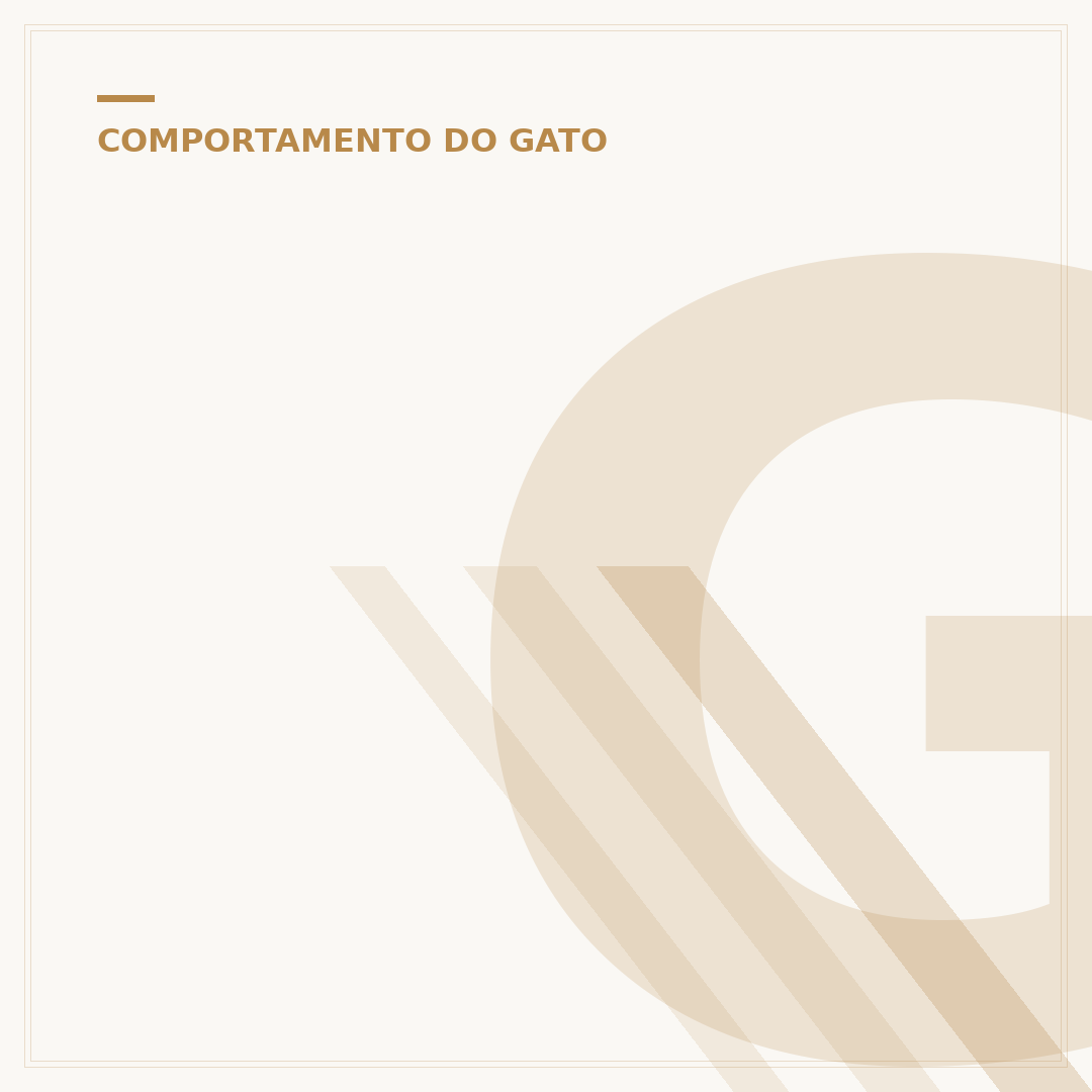 Gato com 3 cores é sempre fêmea? A genética por trás