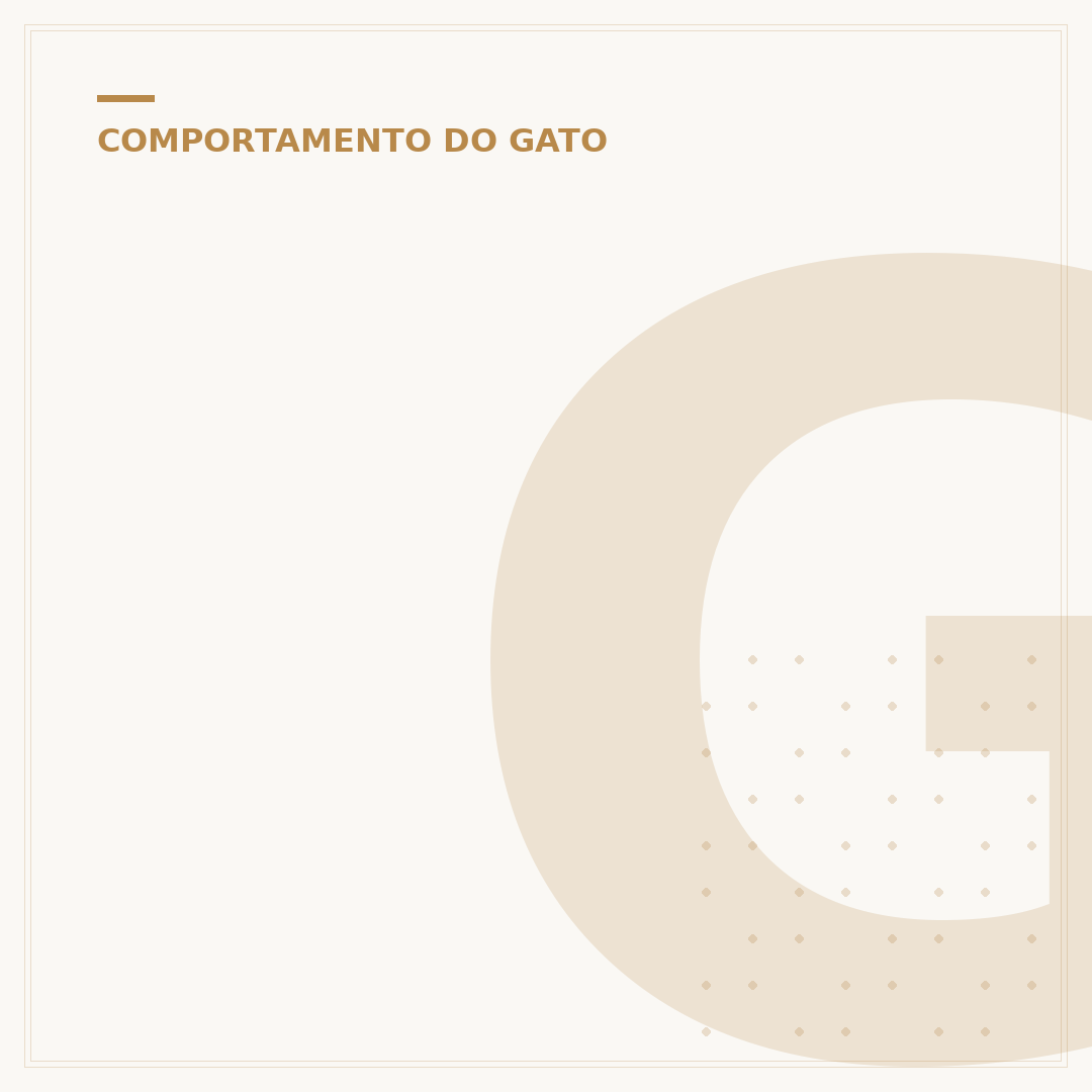 Gato baba dormindo: o que pode ser e quando se preocupar
