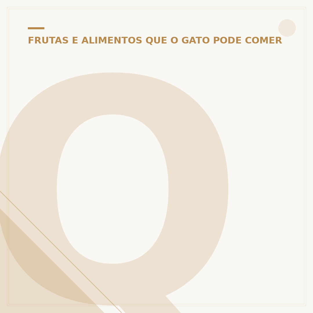 Quantas vezes um gato deve beber água por dia?