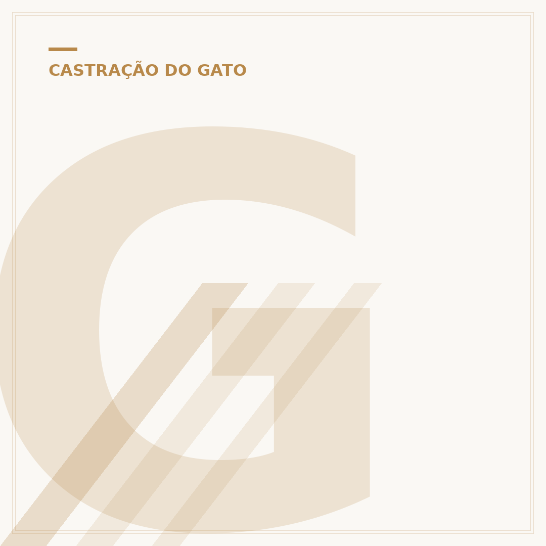 Gato castrado cruza? Entenda o comportamento