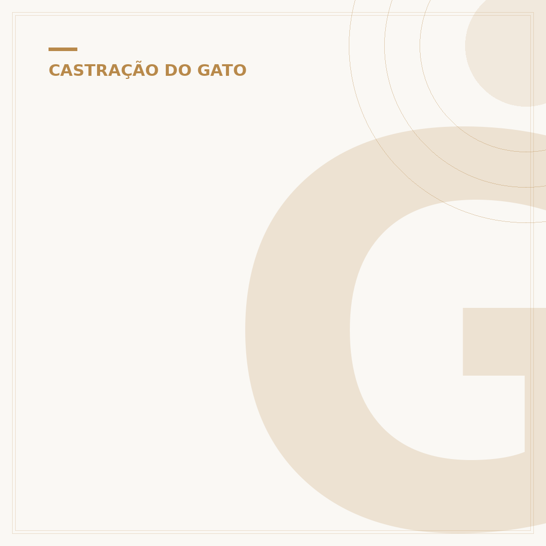 Gato castrado ainda cruza? Entenda o comportamento