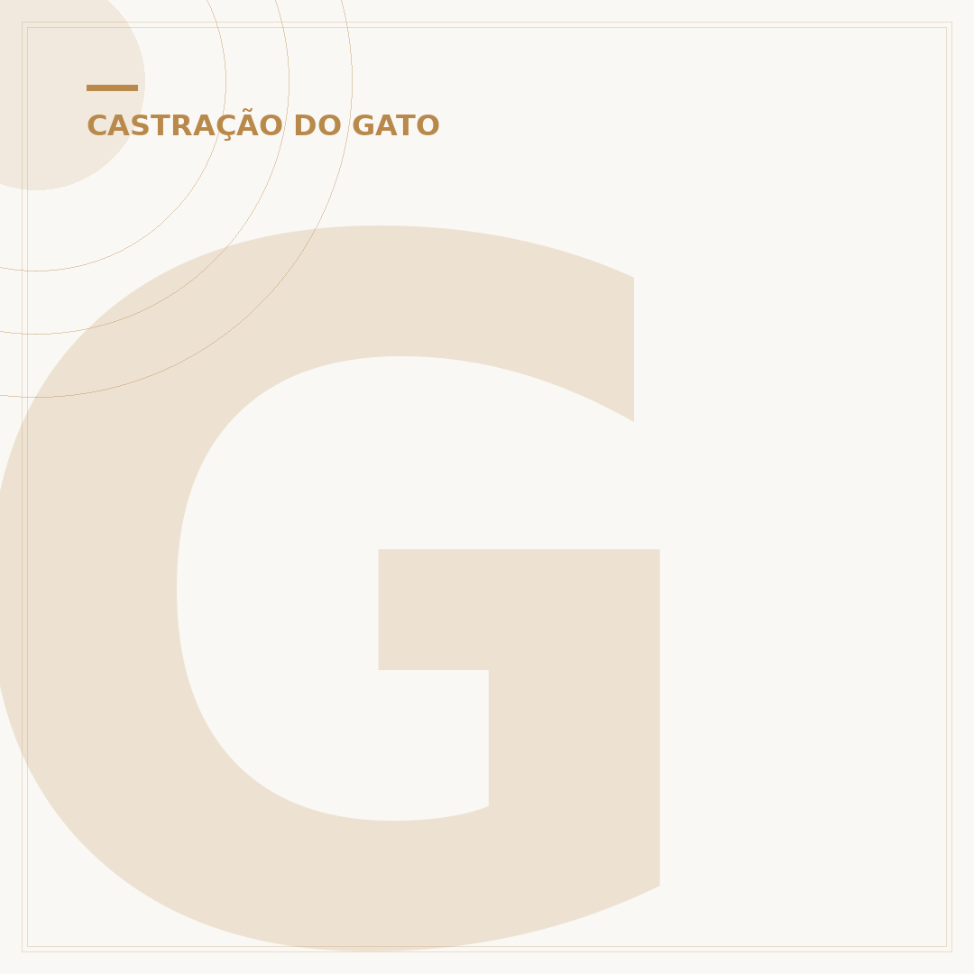 Gato castrado pode pular? Entenda os limites e a saúde
