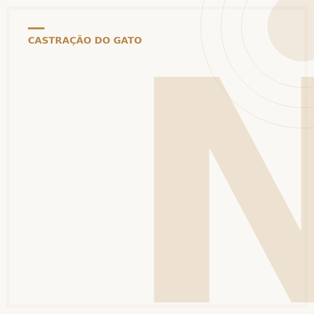 Nd: Necessidades do gato castrado