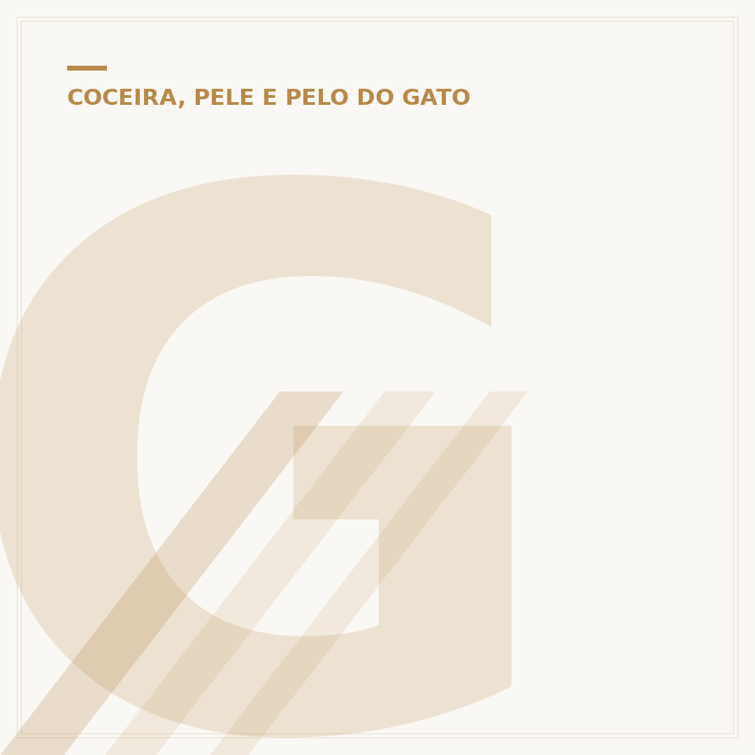 Gato com coceira e pelo caindo: causas e cuidados