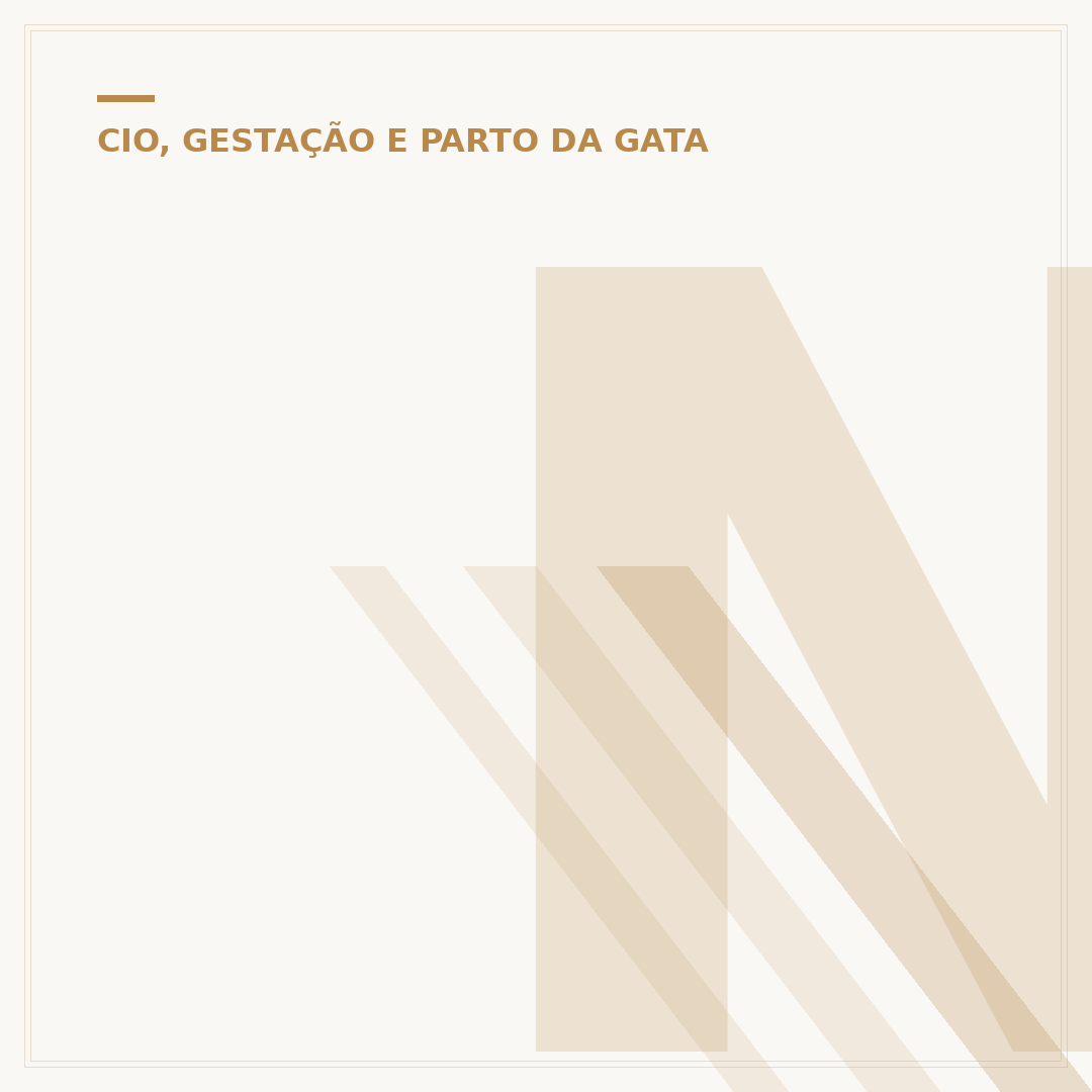 Não existe cruzamento de gato com coelho