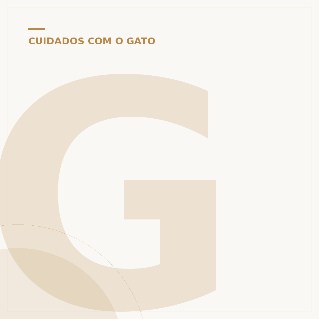 Gato com 2 meses de vida: o que esperar e como cuidar
