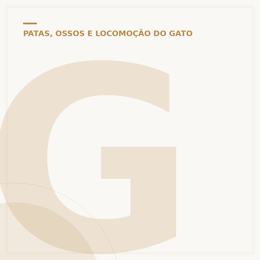 Gato com pata quebrada: sinais, tratamento e cuidados
