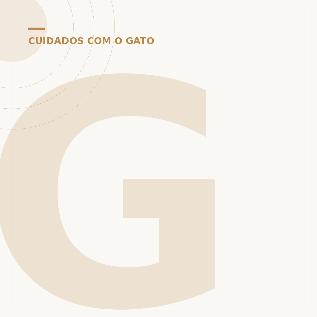 Gato com sono: por que eles dormem tanto?