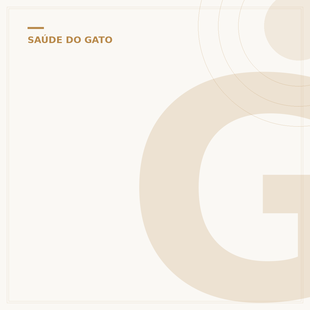 Gato com dor abdominal: causas, sinais e o que fazer