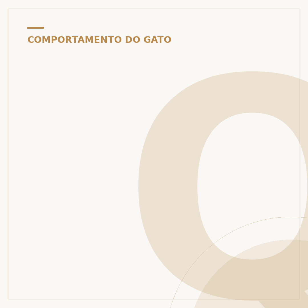 Quantas horas um gato dorme por dia?
