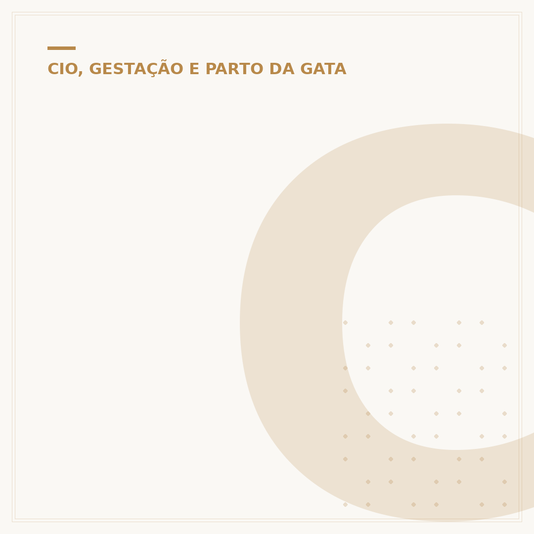 Com quantos anos o gato entra no cio?