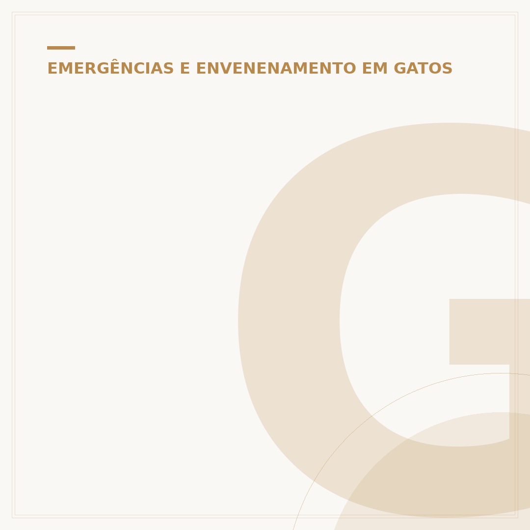 Gato envenenado: pode dar leite? O que fazer?
