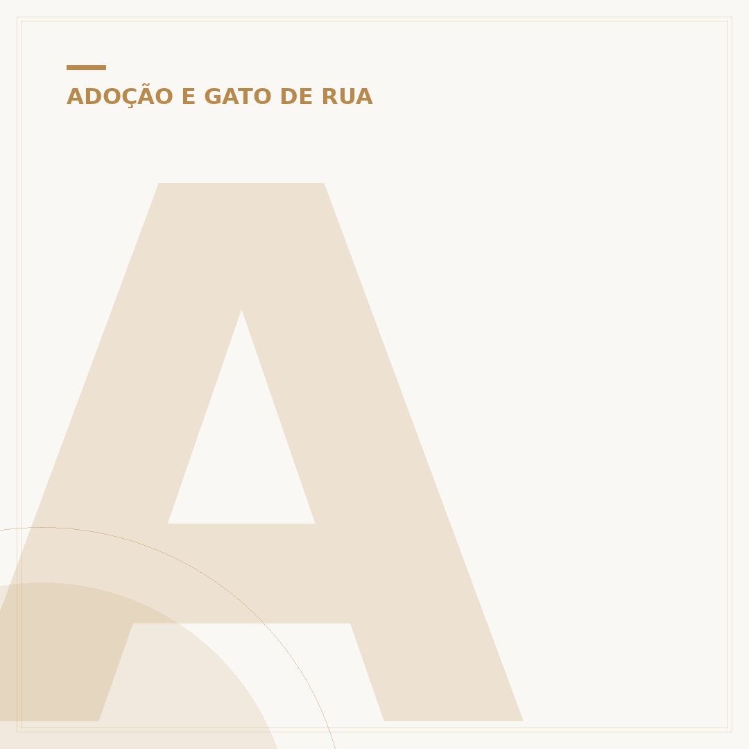 Adotar um filhote de gato: o que você precisa saber