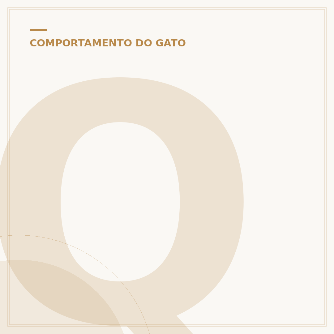 Quantas horas um gato filhote dorme por dia?