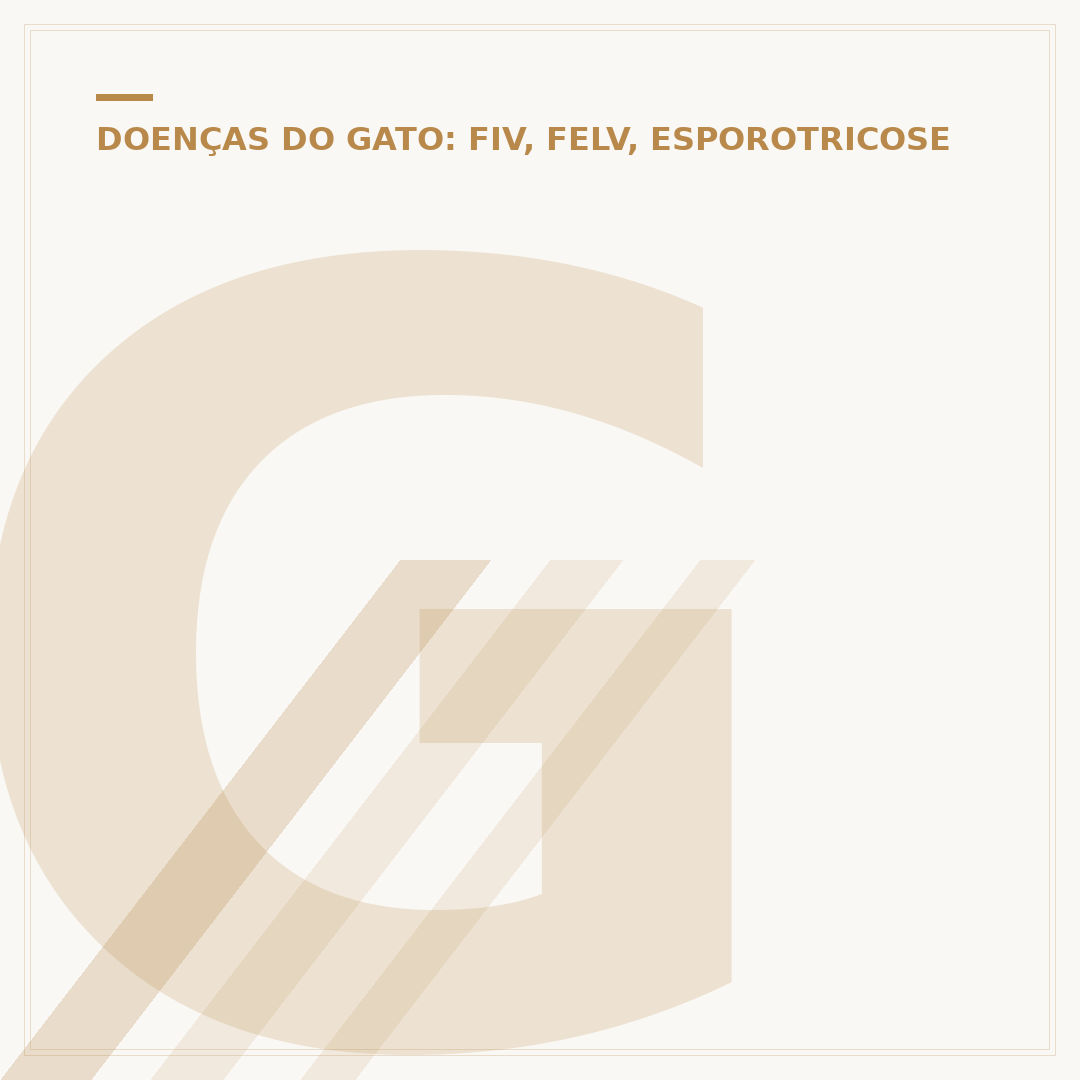 Gato com FIV e FeLV pode conviver com outros gatos?