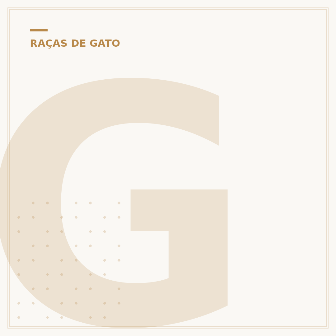 Gato gigante raça preto: conheça as maiores raças