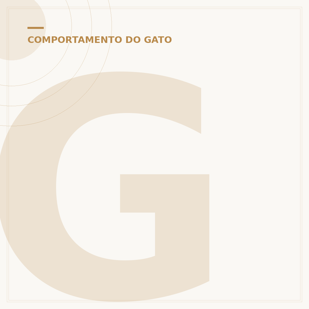 Gato gosta de beijo? Entenda a comunicação felina