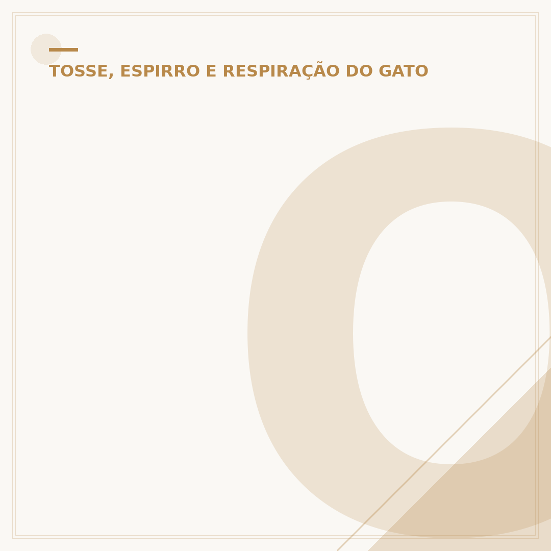 O que é bom para gato gripado: cuidados e alívio