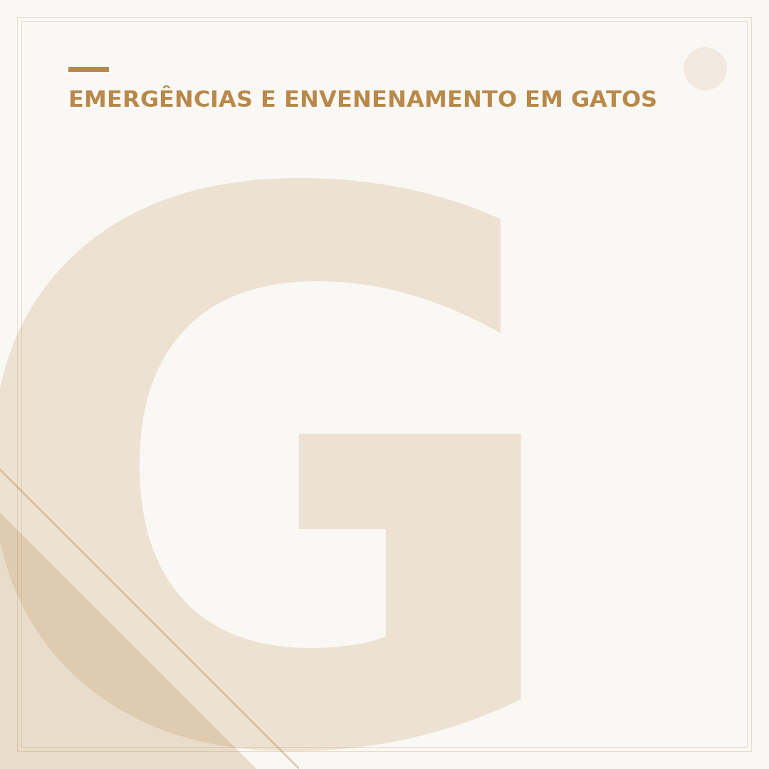 Gato é imune a veneno de cobra? Entenda a verdade