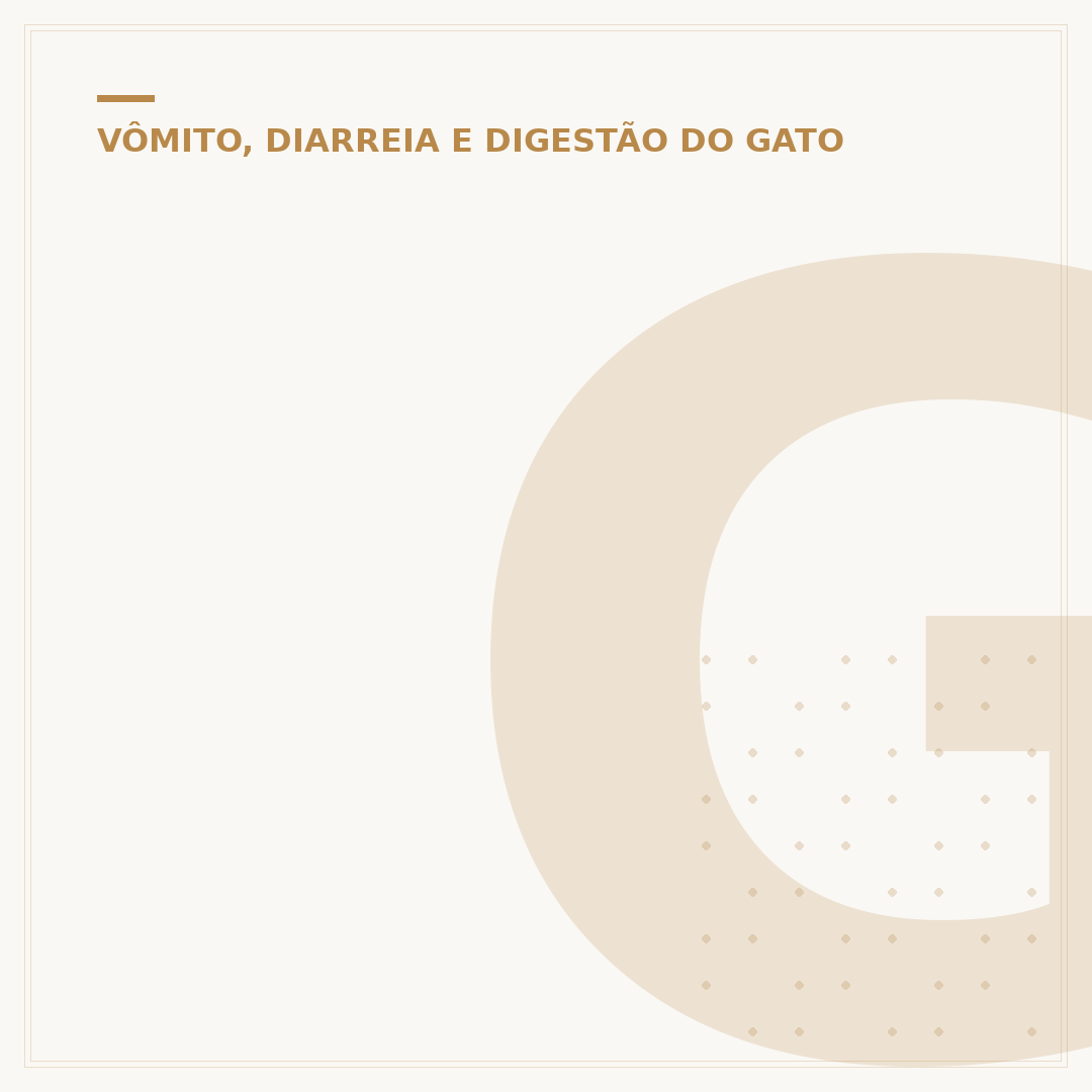 Gato com intestino preso: o que fazer e como ajudar