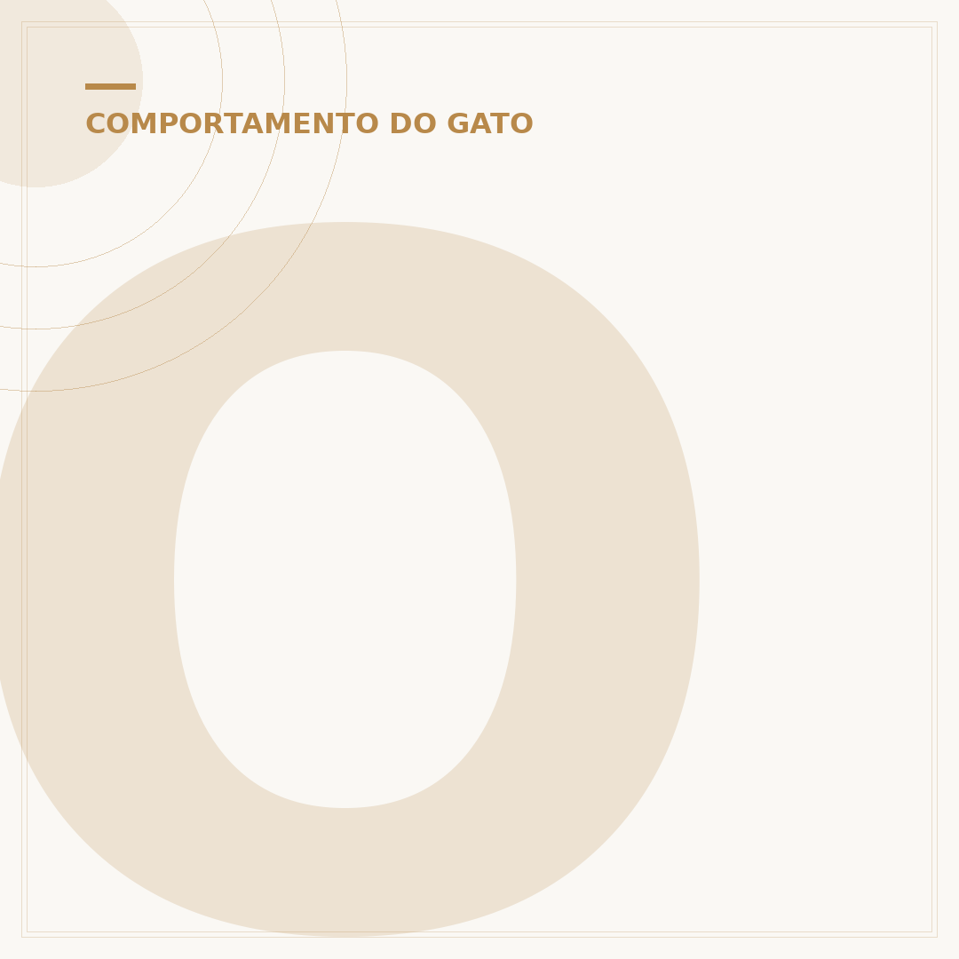 O que significa quando o gato te lambe: entenda os motivos