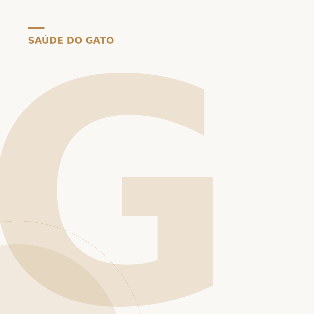 Gato pode tomar leite de caixinha? Entenda os riscos
