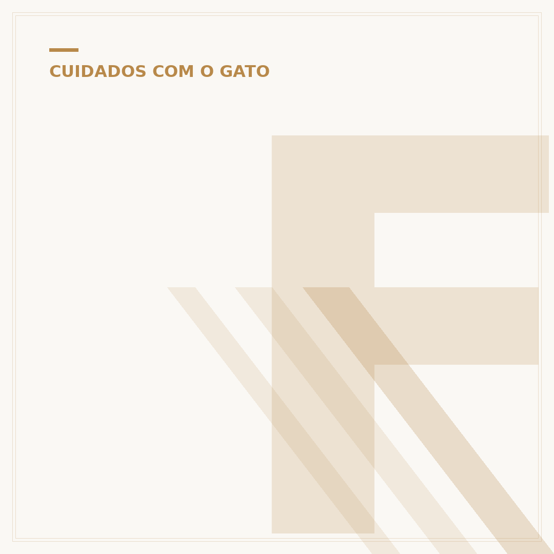 Filhotes de gato macho e fêmea