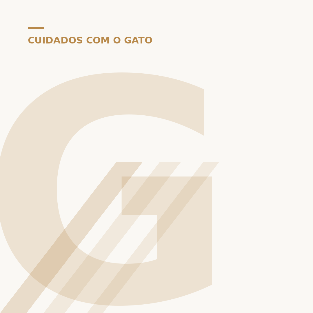 Gato mais velho do Brasil: longevidade e curiosidades